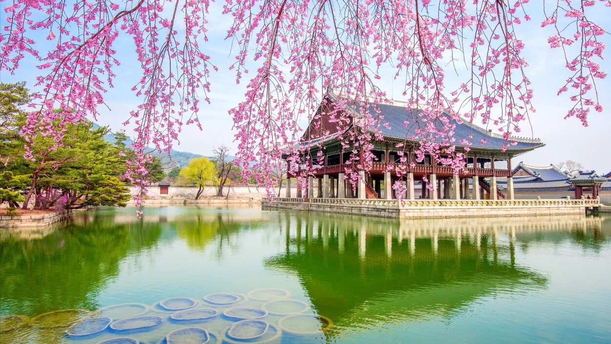 How to Obtain Permanent Residence in South Korea Housearch Blog