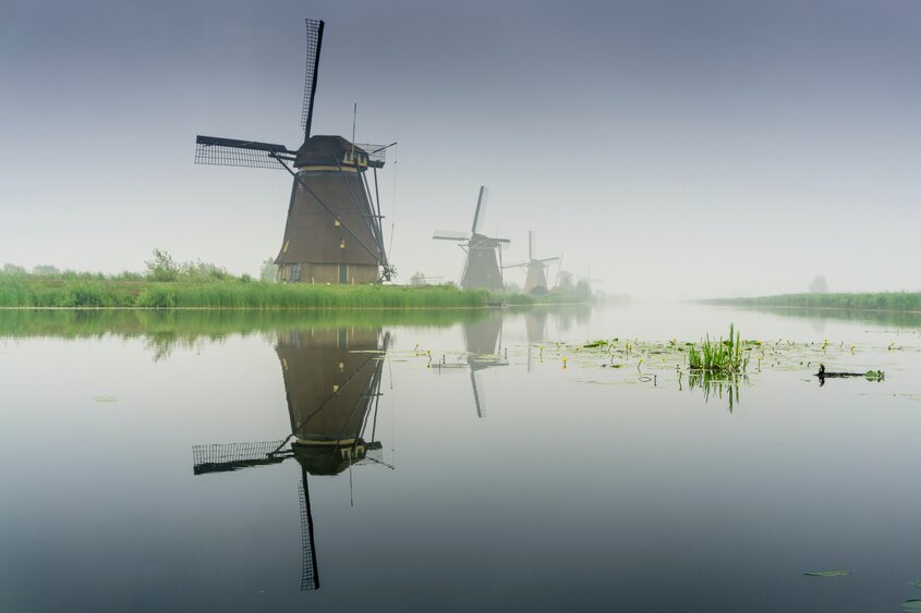 Dutch Citizenship: Naturalisation in the Land of Windmills and Canals