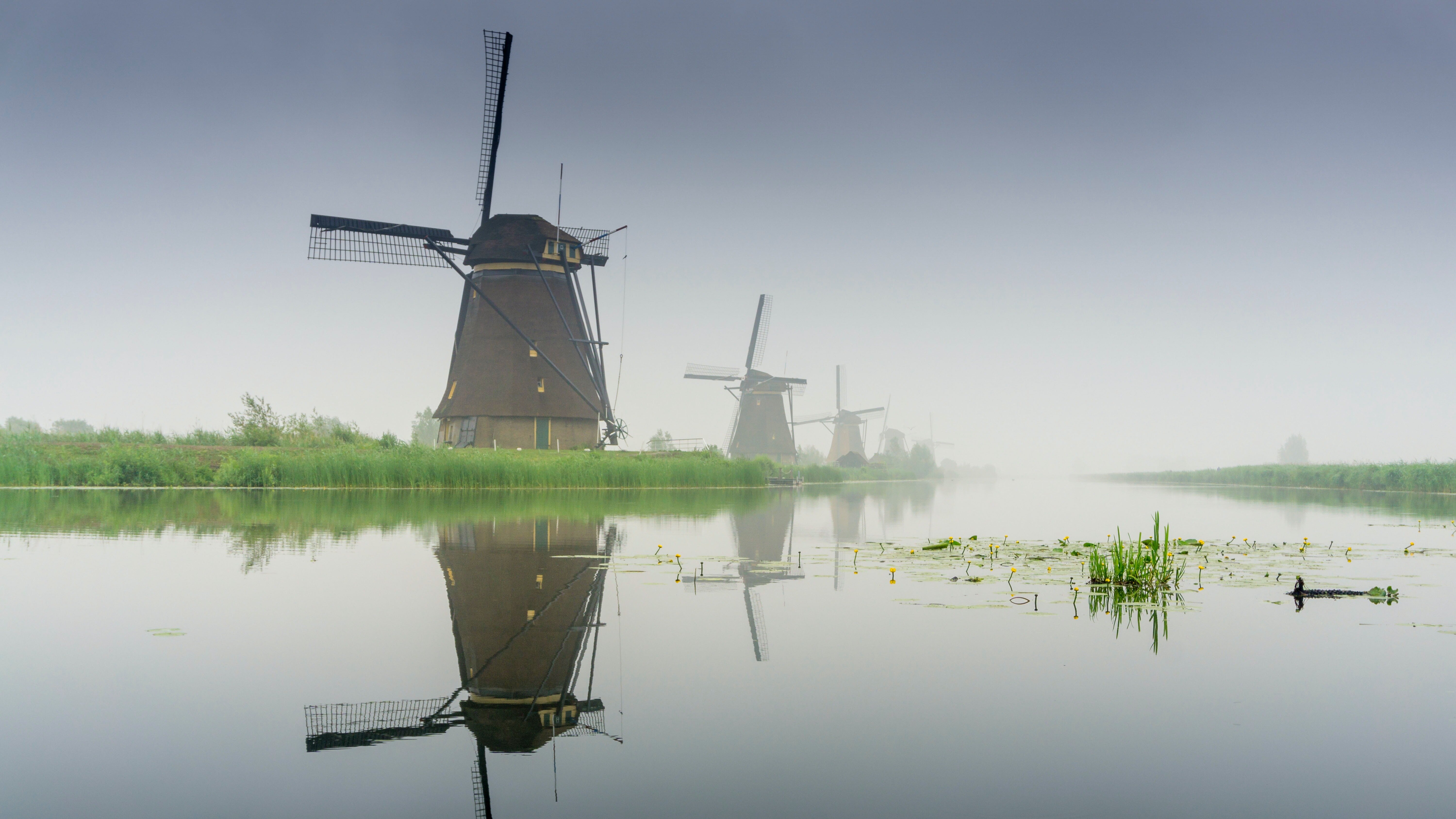 Dutch Citizenship: Naturalisation in the Land of Windmills and Canals