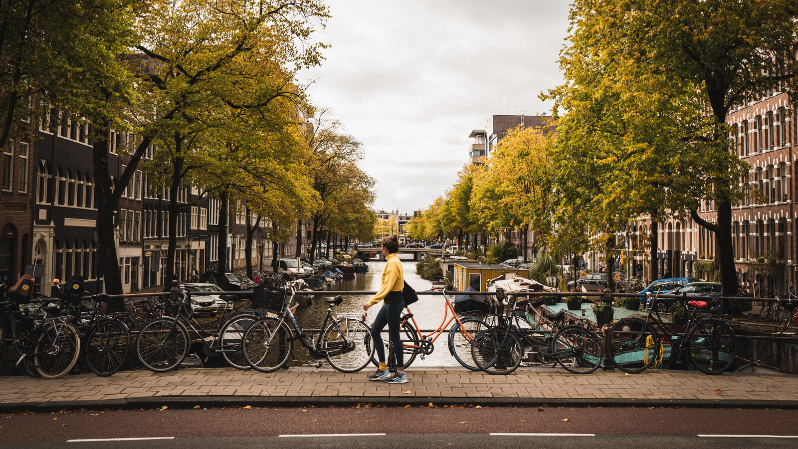 How to Obtain a Residence Permit in the Netherlands 